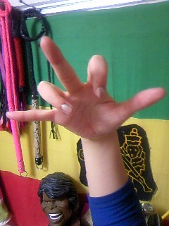 201011152.jpg