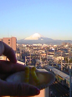 201003151.jpg