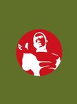 mishima_2-2.jpg